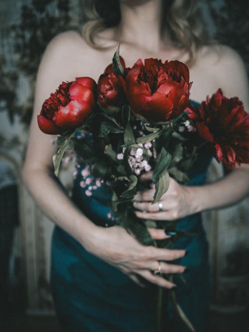 Fotobanka s bezplatnými fotkami na tému červené kvety, kvety, kytica