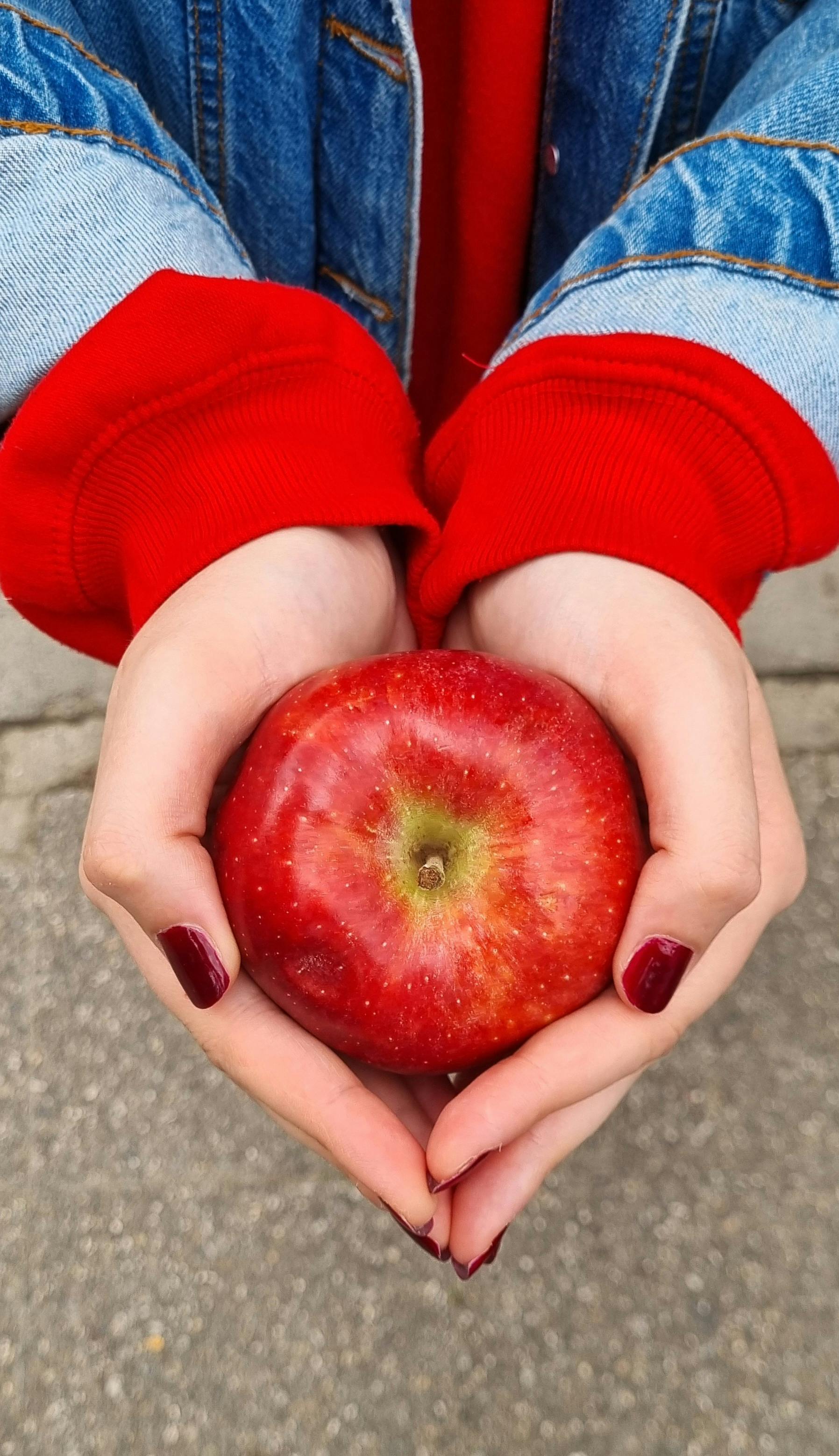Close-up of Caucasian female hands holding a red apple, wearing a denim jacket.
