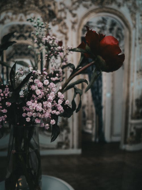 Foto d'estoc gratuïta de amor, arranjament floral, art