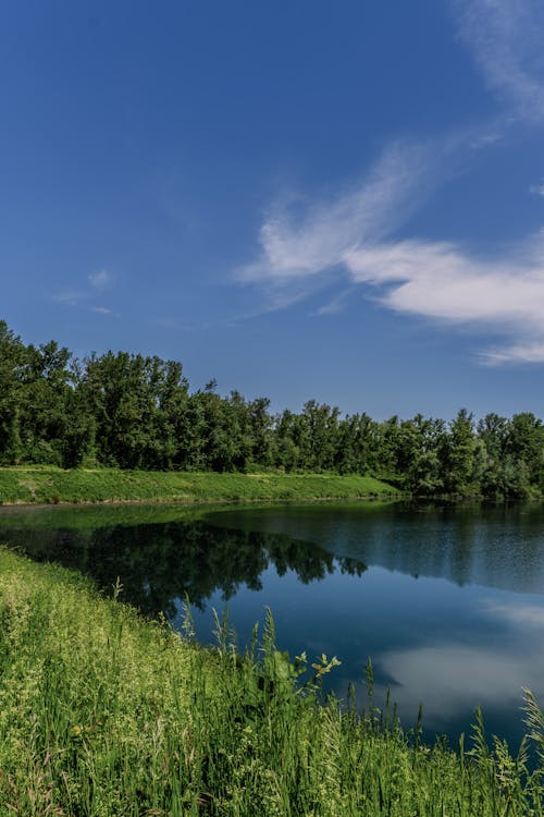 강, 경치, 공원의 무료 스톡 사진