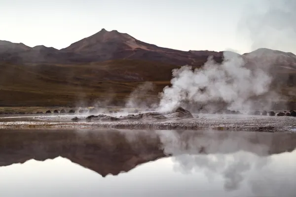 Geysers du Tatio