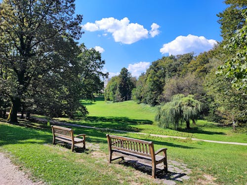 Gratis stockfoto met banken, maksimir, Maksimir-park