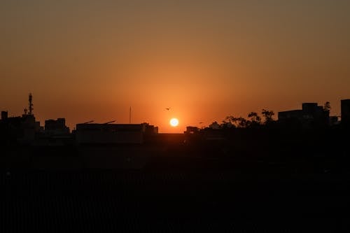 Fotos de stock gratuitas de bras, sol, sol de tarde