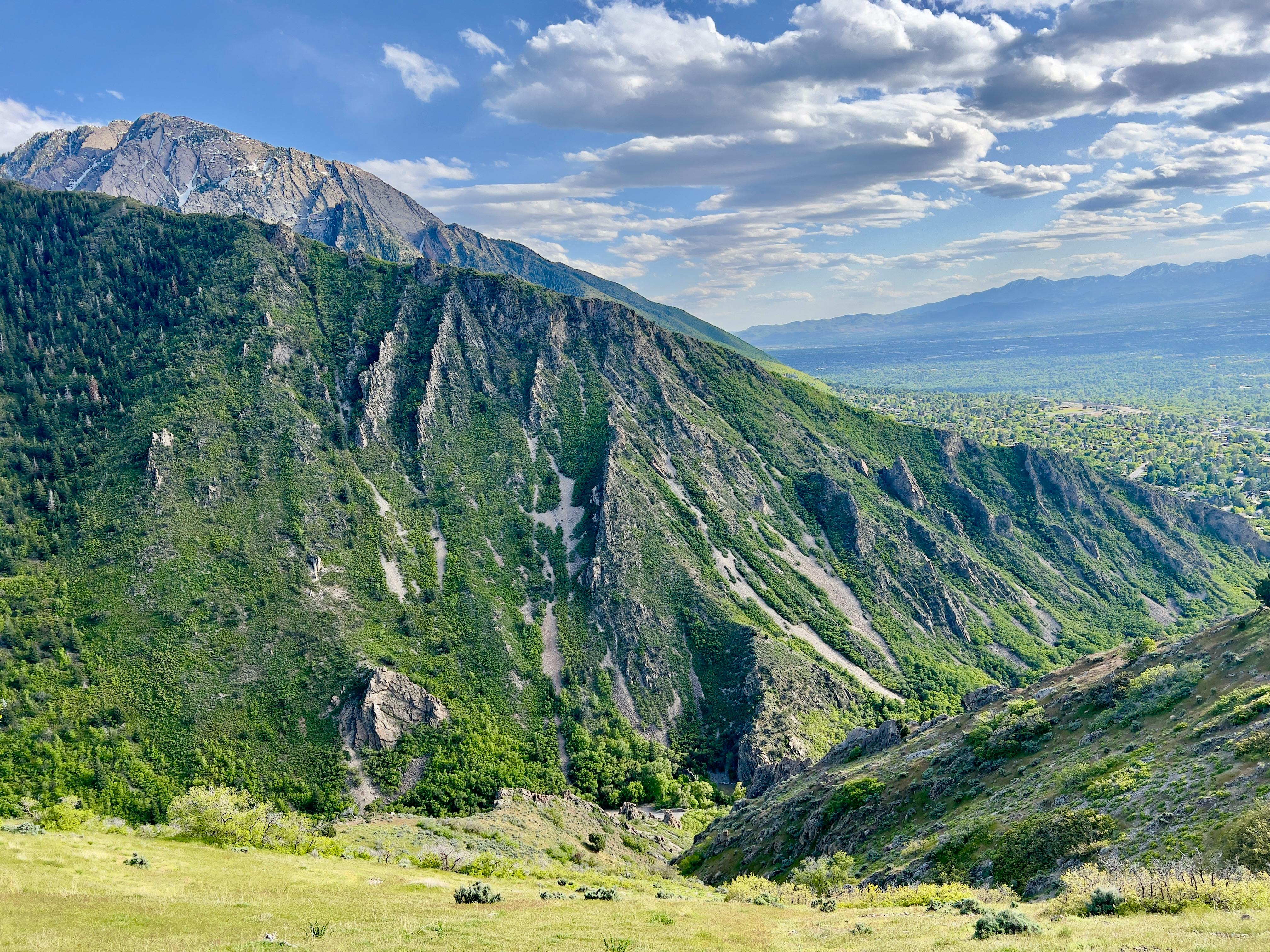 Vibrant view of lush green mountains and open sky in Millcreek, UT.