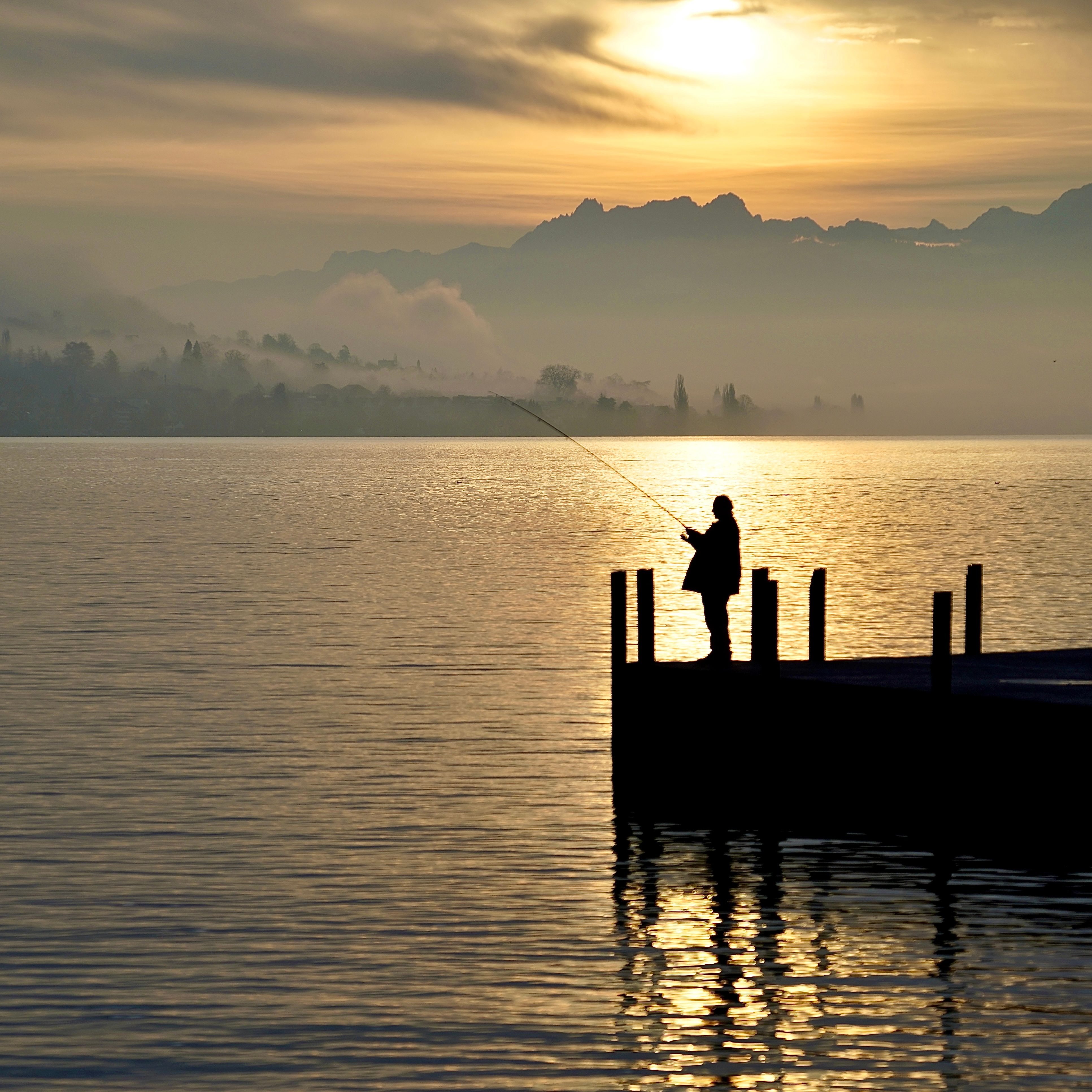 A tranquil scene of a lone fisherman casting at sunrise over Lake Zürich with misty mountains.
