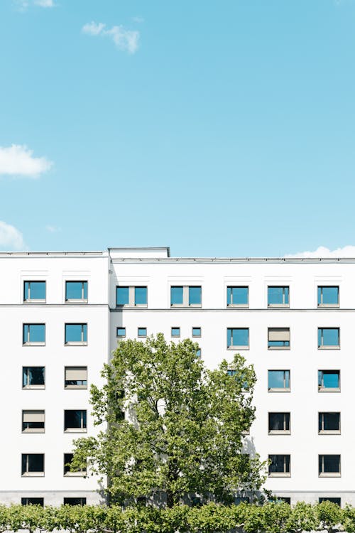 A building with a white facade and trees in front