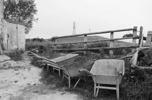Free Black and white photo of wheelbarrows near a wooden fence in a rural farm setting. Stock Photo