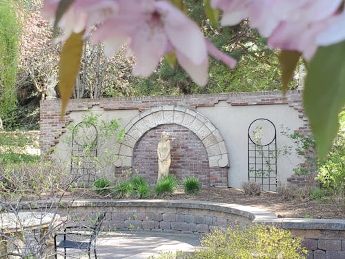 Immagine gratuita di fiori rosa, giardino, mattoni rossi