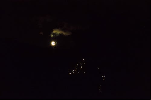 경치, 그로스 계획, 달빛의 무료 스톡 사진