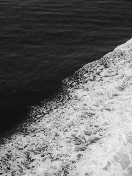 Imagine de stoc gratuită din alb-negru, apă, apa de ocean