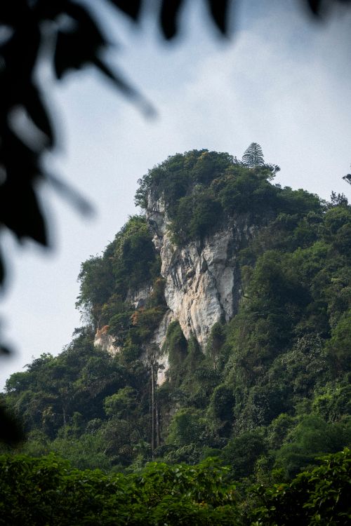 Free A stunning mountainous landscape with dense vegetation captured in a vertical frame, highlighting natural beauty. Stock Photo
