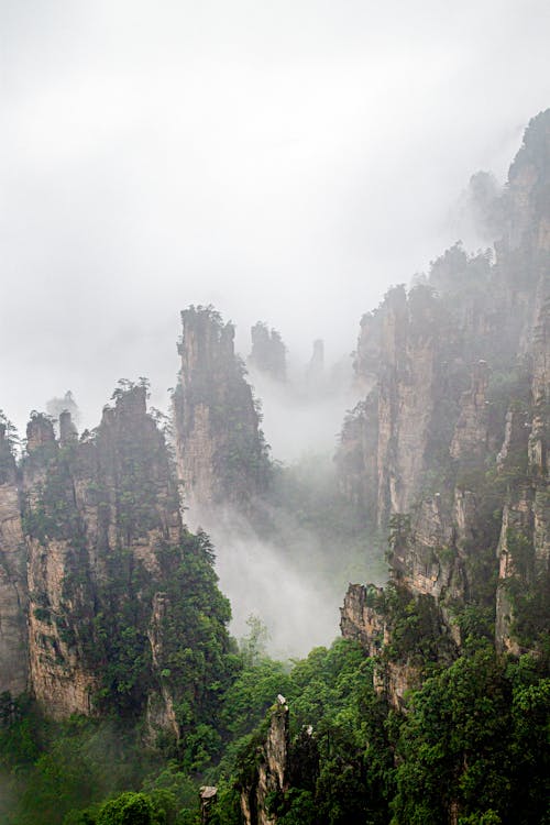 Kostnadsfria Kostnadsfri bild av berg, dimma, dimmig Stock foto