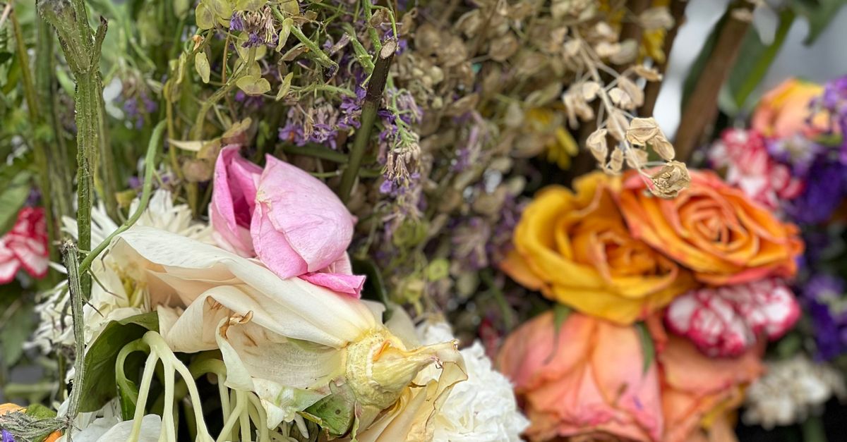 compost flowers · Free Stock Photo