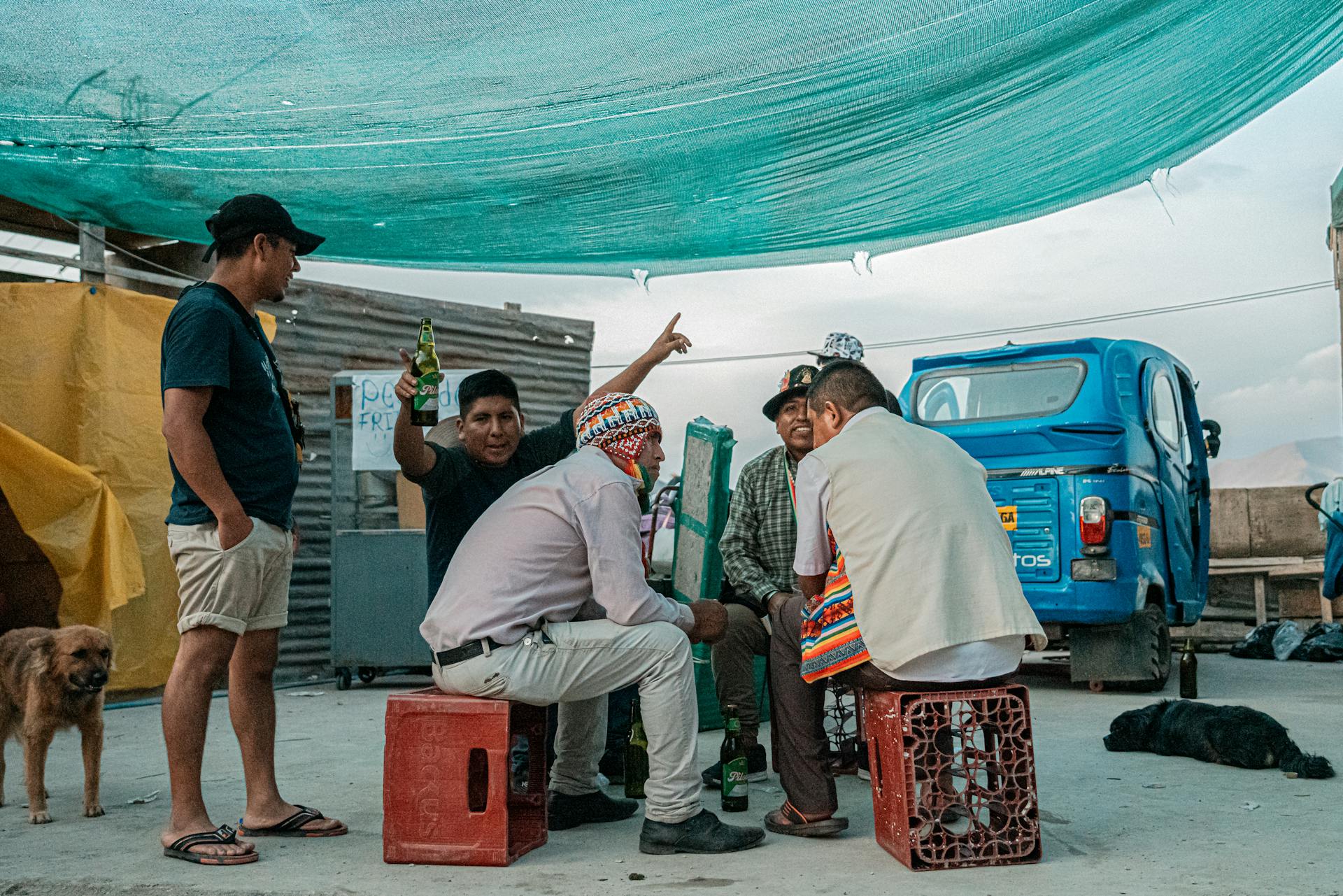 Group of Men Sitting on Crates and Dogs Under a Hanging Tarpaulin