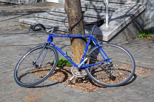 Free A blue bicycle leaning against a tree on a sunlit cobblestone street with steps. Stock Photo