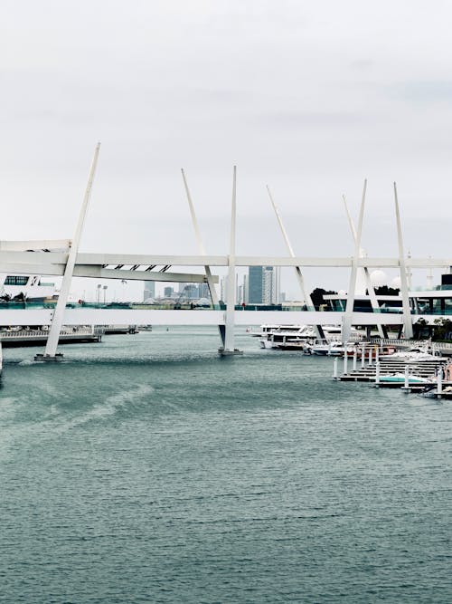 A boat is docked at a pier with a bridge