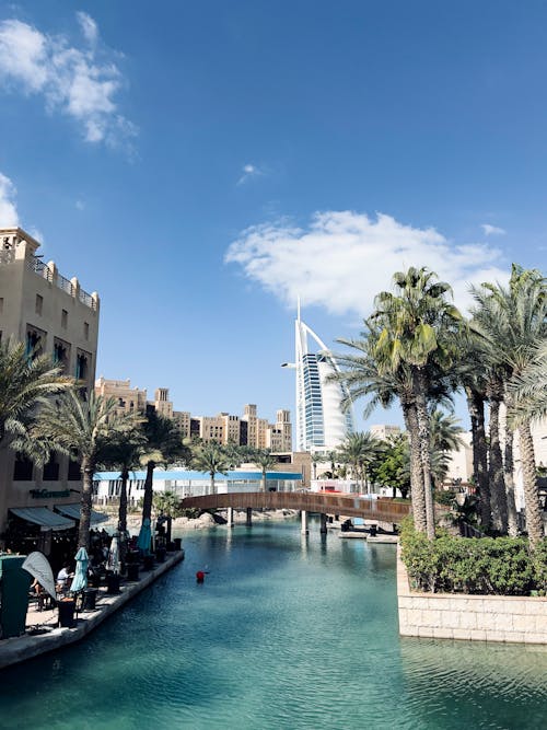 The canal in dubai is surrounded by palm trees