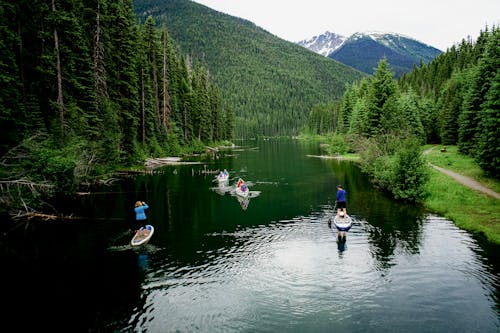 Stand-up-Paddeling in Wilderness