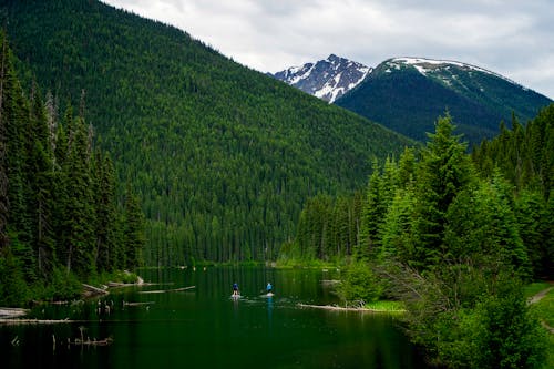 Ảnh lưu trữ miễn phí về bình minh, Canada, chèo thuyền mái chèo