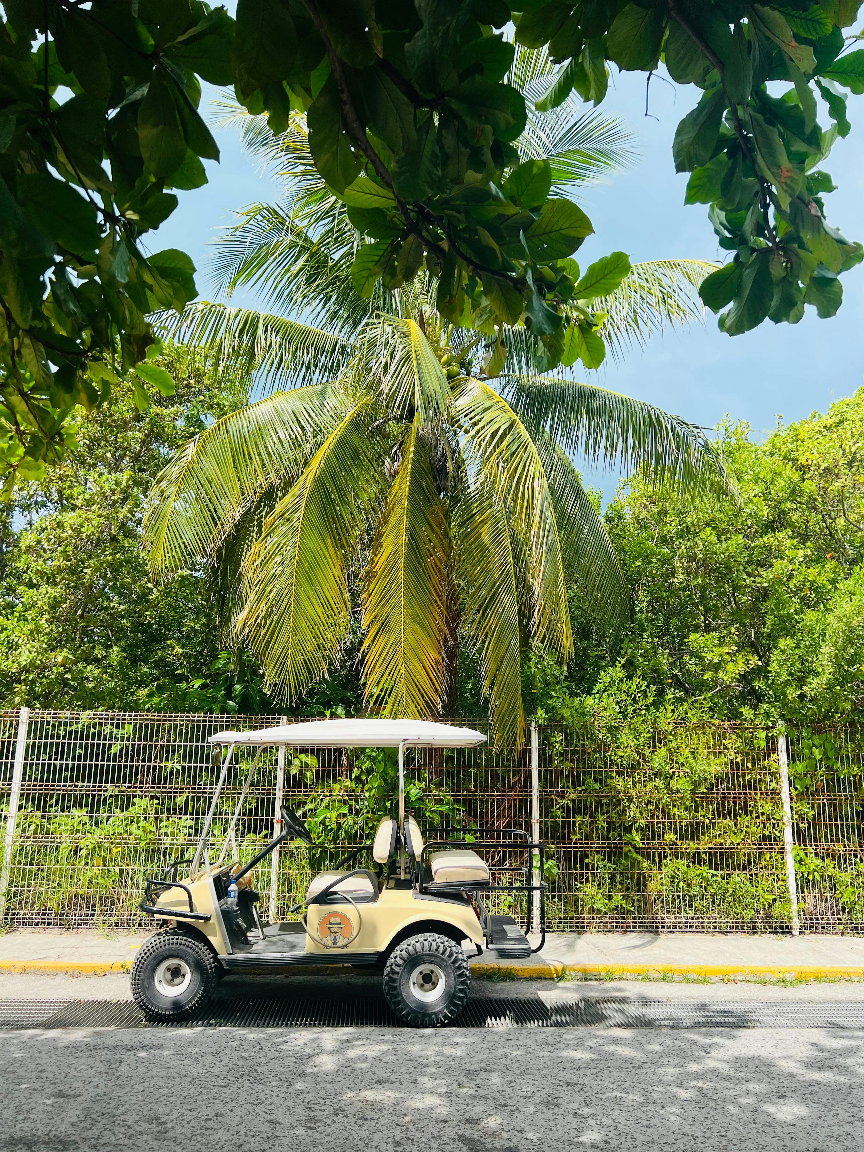 Golf Cart Rentals Isla Mujeres · Free Stock Photo
