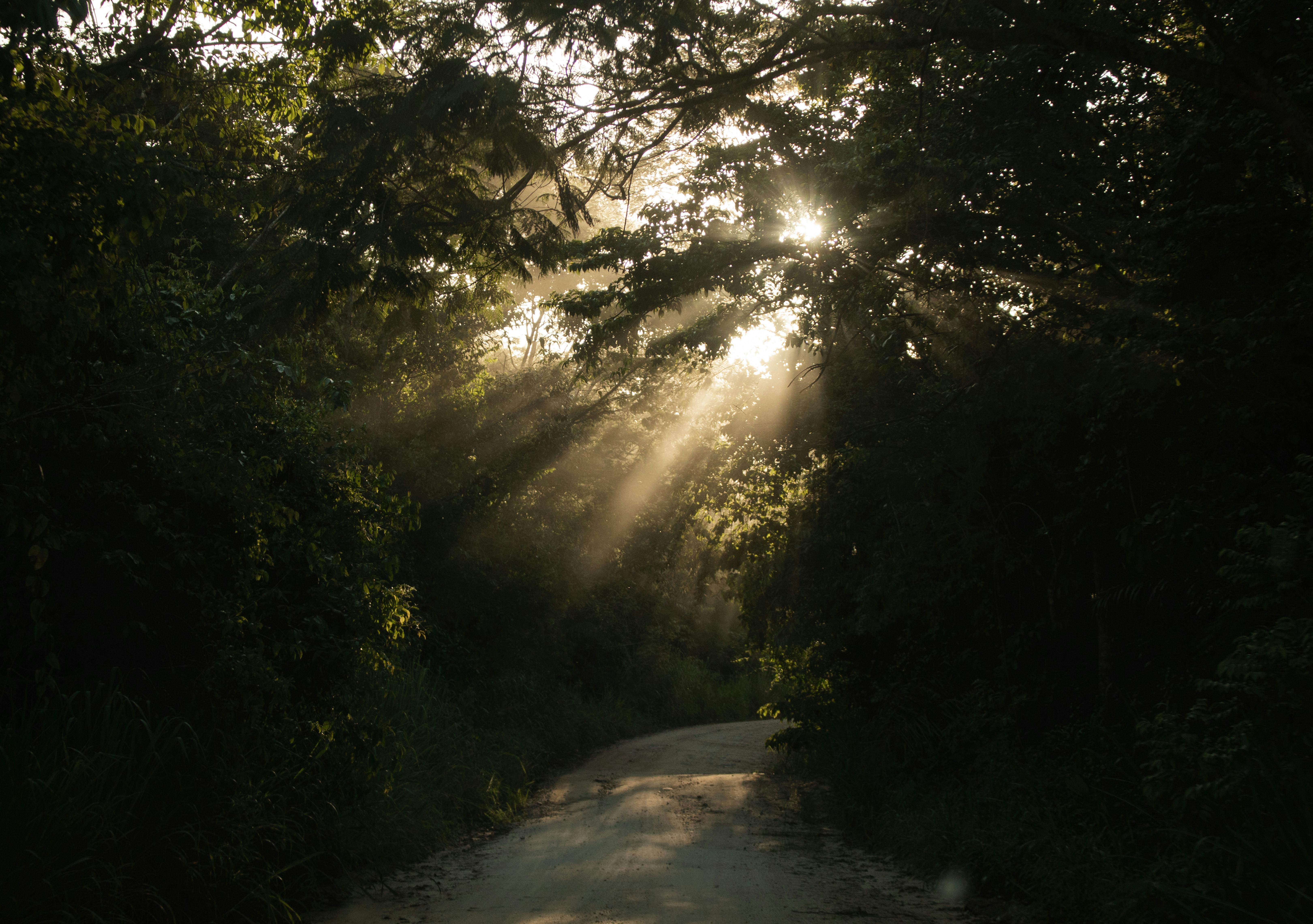 Tin vào tôn giáo và khoa học cùng lúc 150 – khoa hoc, niem tin, xa hoi hoc, tam ly hoc, tu duy, nhan thuc xa hoi, tu duy nhan thuc, ton giao, phat giao, thien chua giao, thuc hanh ton giao, niem tin khoa hoc.