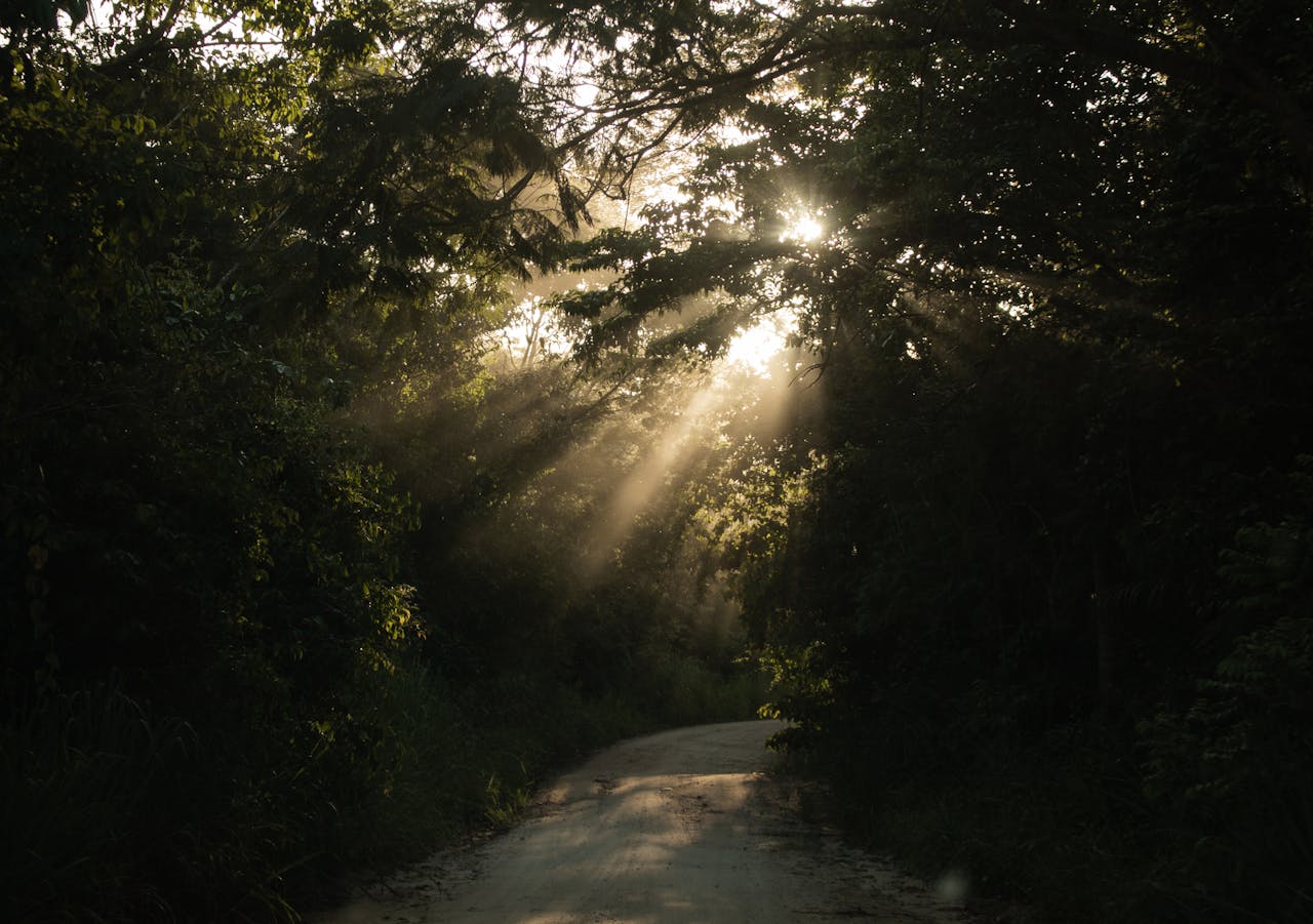 Định giá động trong ngành khách sạn