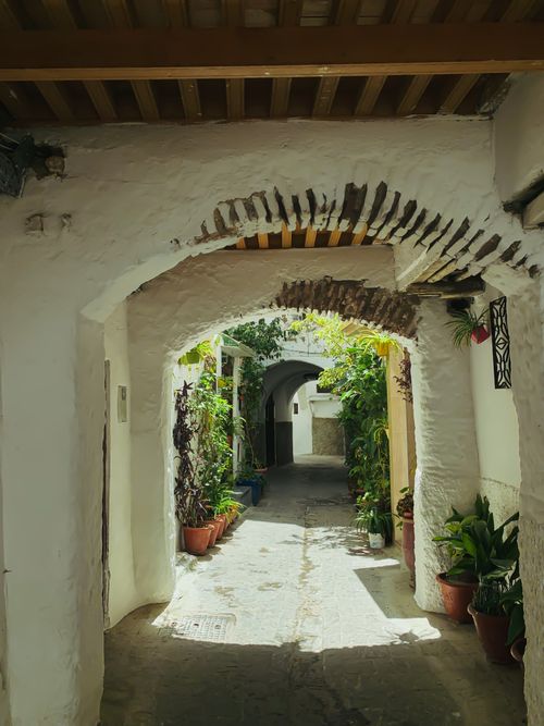 Free Serene Mediterranean alleyway lined with potted plants under archways. Stock Photo