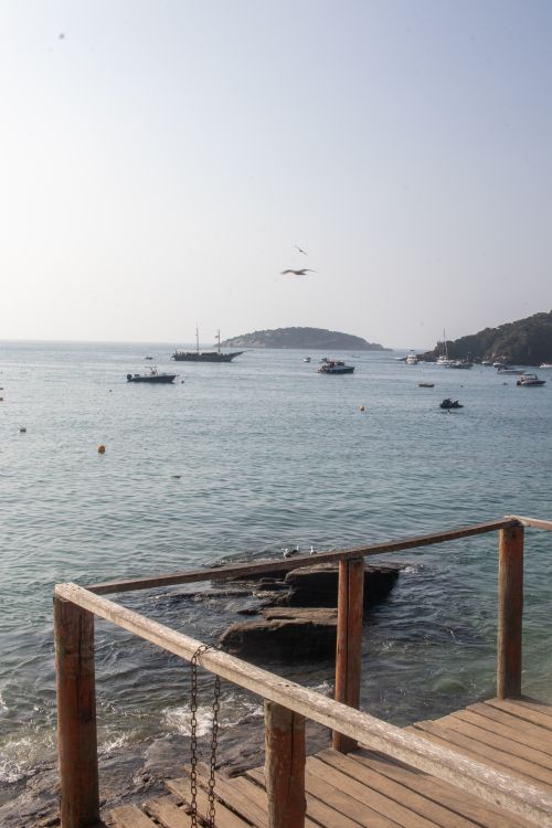 Free Serene morning view of a coast with boats, birds, and a calm sea. Stock Photo