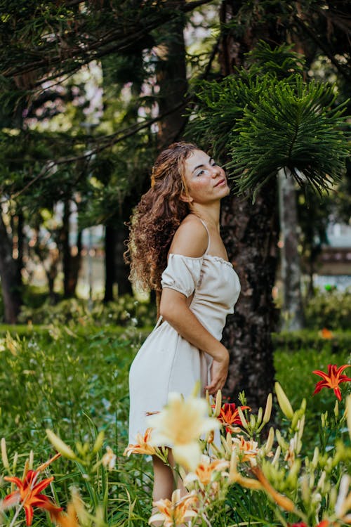 Fotos de stock gratuitas de al aire libre, amor, árbol