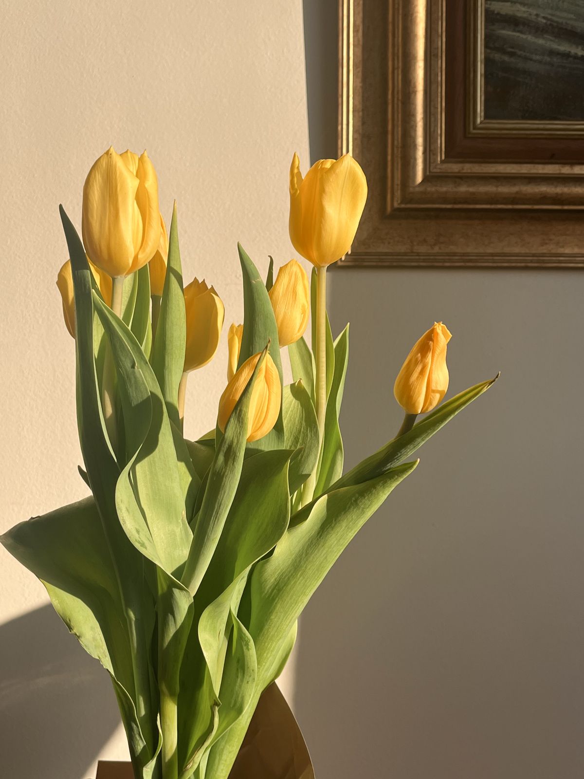 yellow-flowers-aesthetic-132-photos-videos-collected-by-lisa-from-pexels