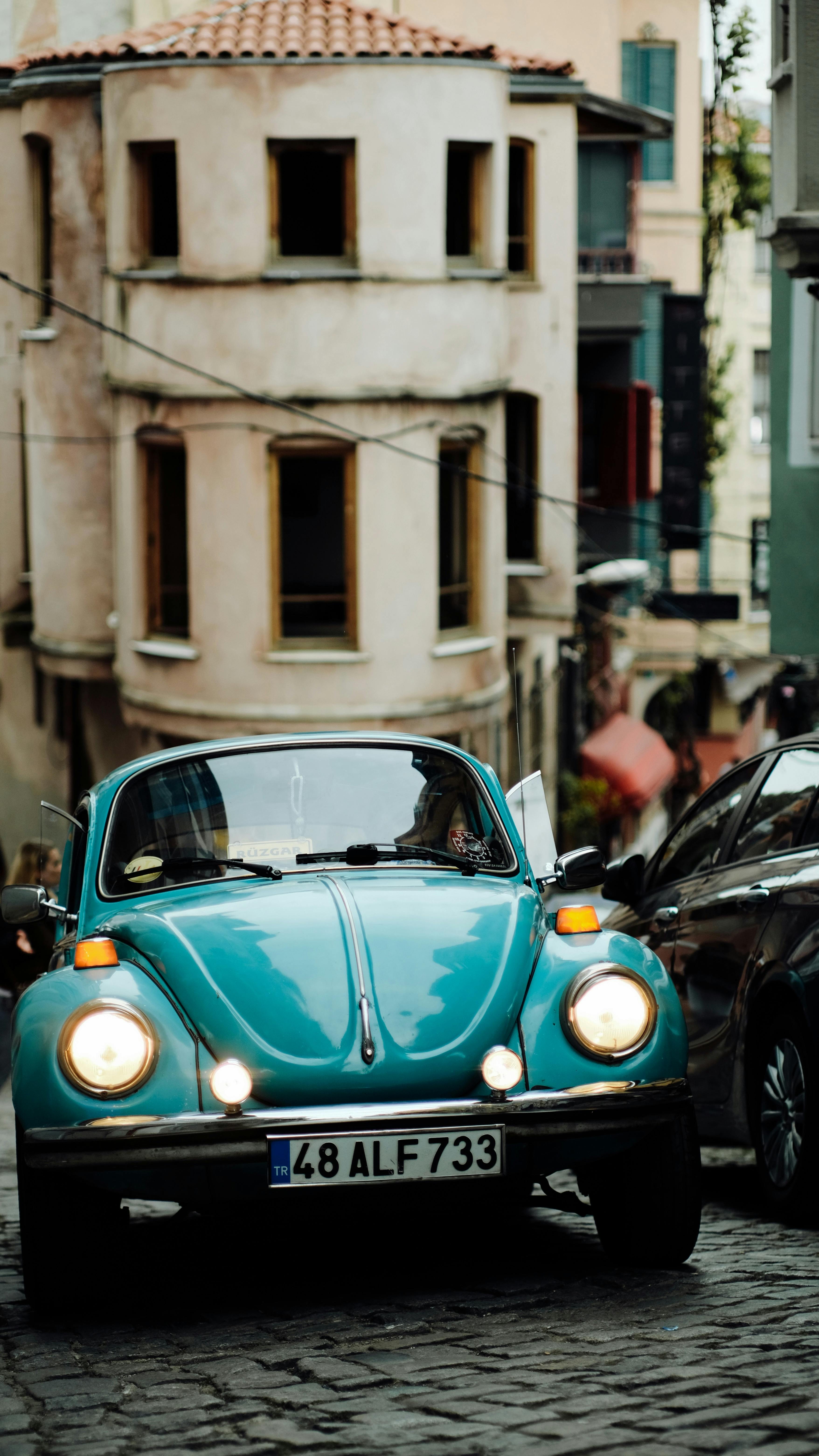 Savory One-Pot Chicken and Rice