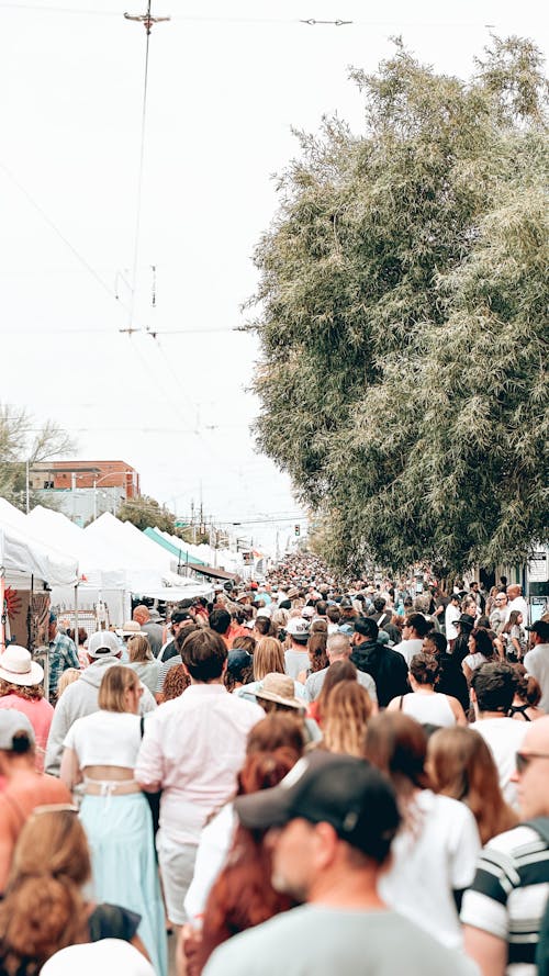 Free Tucson Spring Festival  Stock Photo