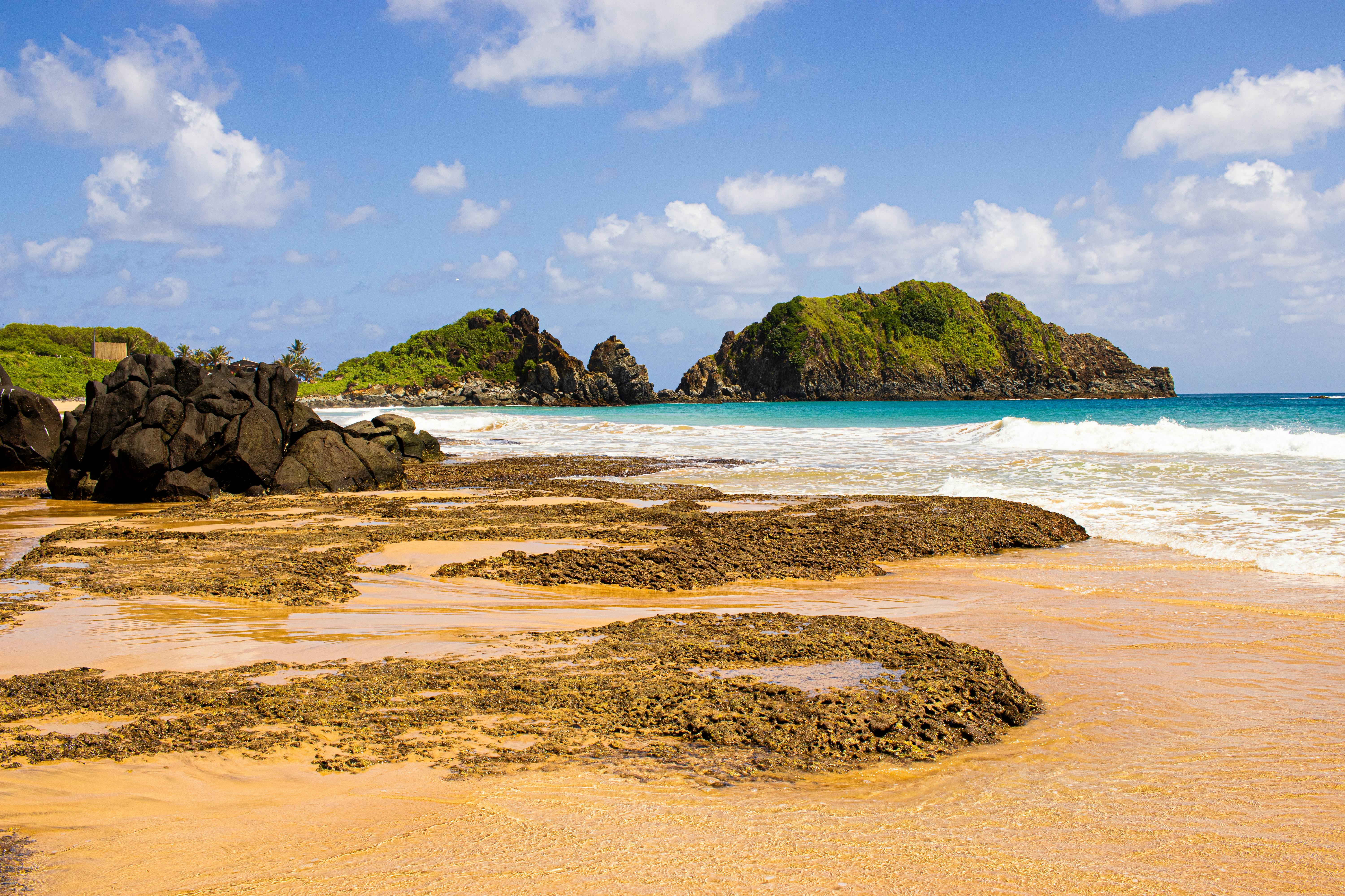 Explore a picturesque tropical beach with rocky shoreline, lush greenery, and clear blue skies.