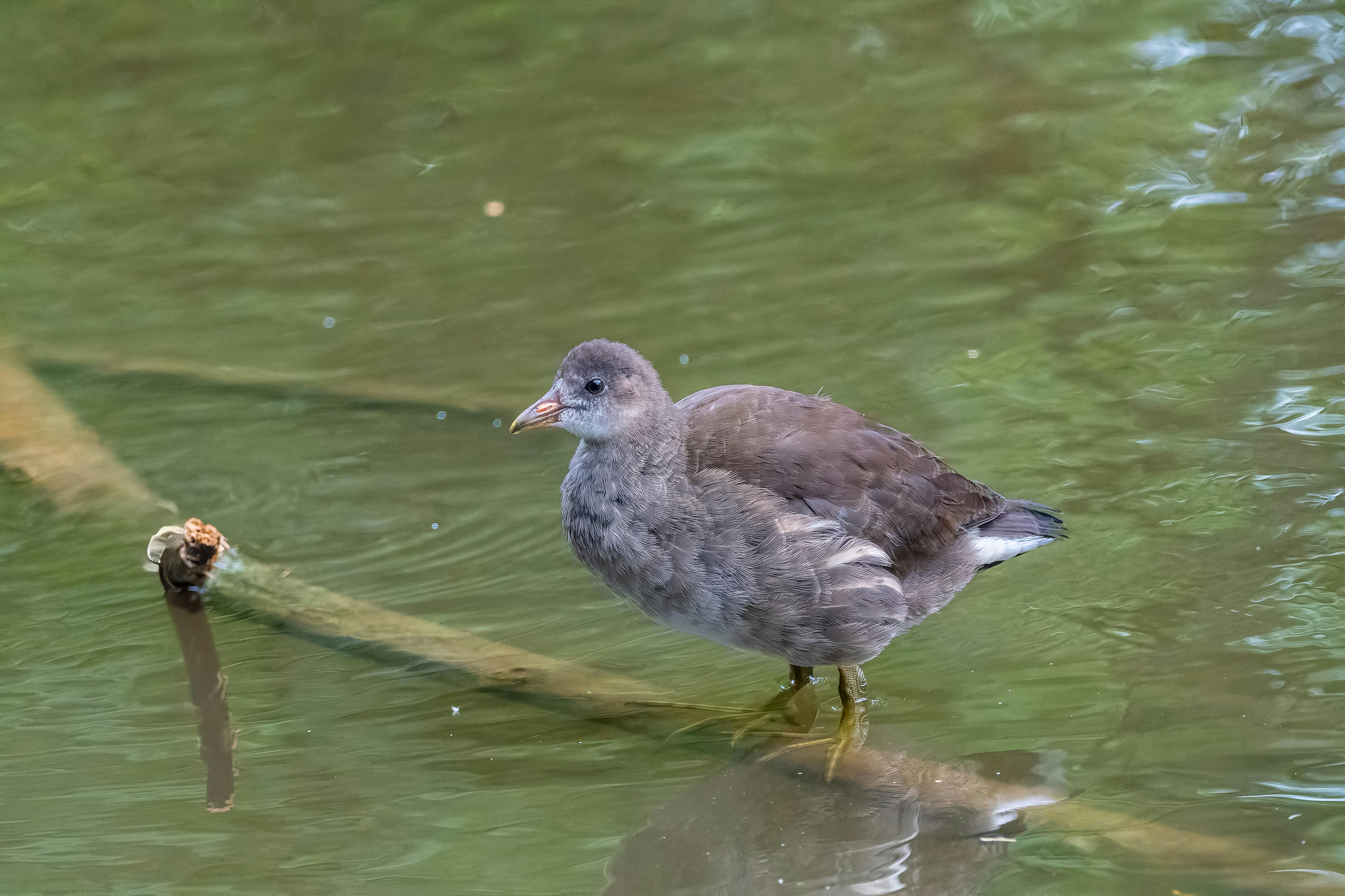 10 Most Common Distractions That Kill Productivity