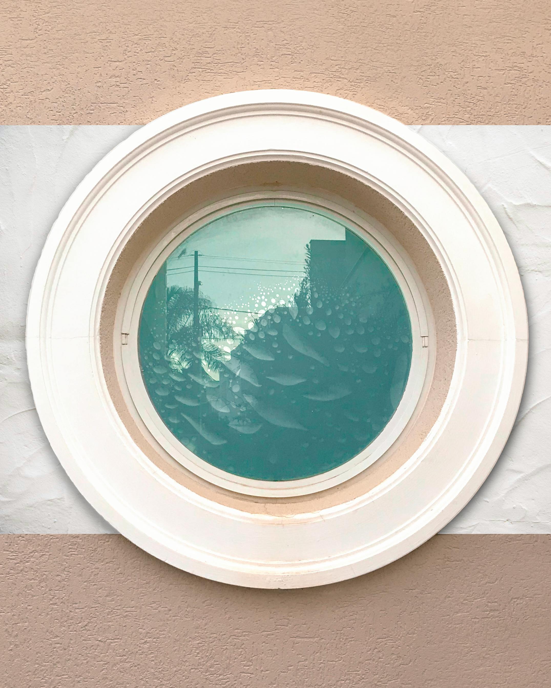 What foods clean out your bowels?