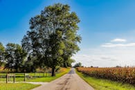 在印第安纳州弗洛拉市，一条风景如画的乡村道路两旁，玉米地和树木在蔚蓝的天空下延伸