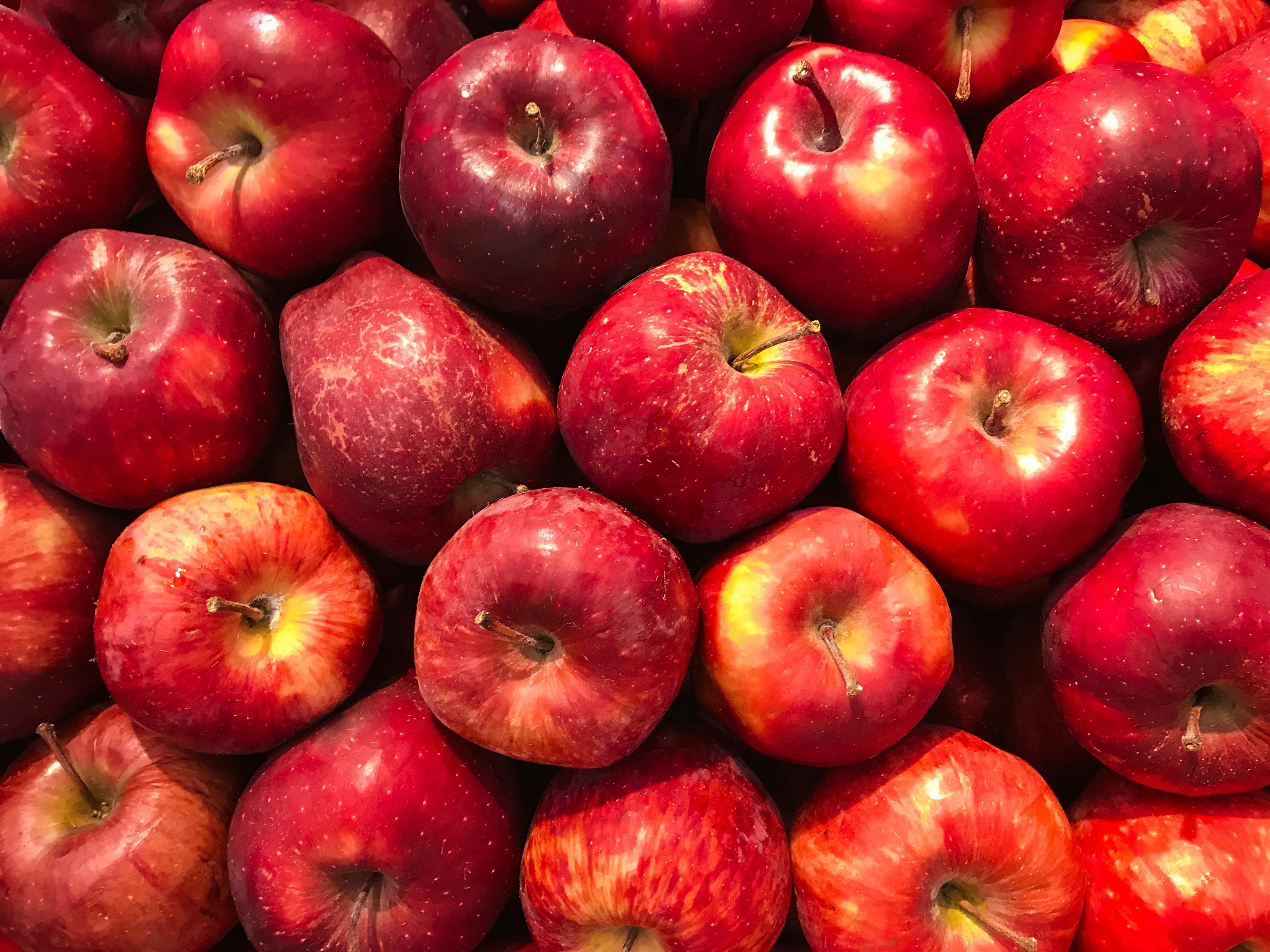 Apples Photos, Download The BEST Free Apples Stock Photos & HD Images