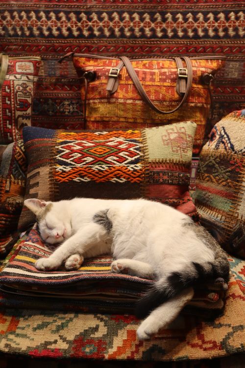 Free A peaceful cat sleeping on vibrant Turkish rugs in a cozy setting. Stock Photo