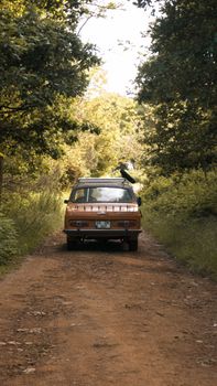 A vintage car travels down a dirt road surrounded by lush forest.