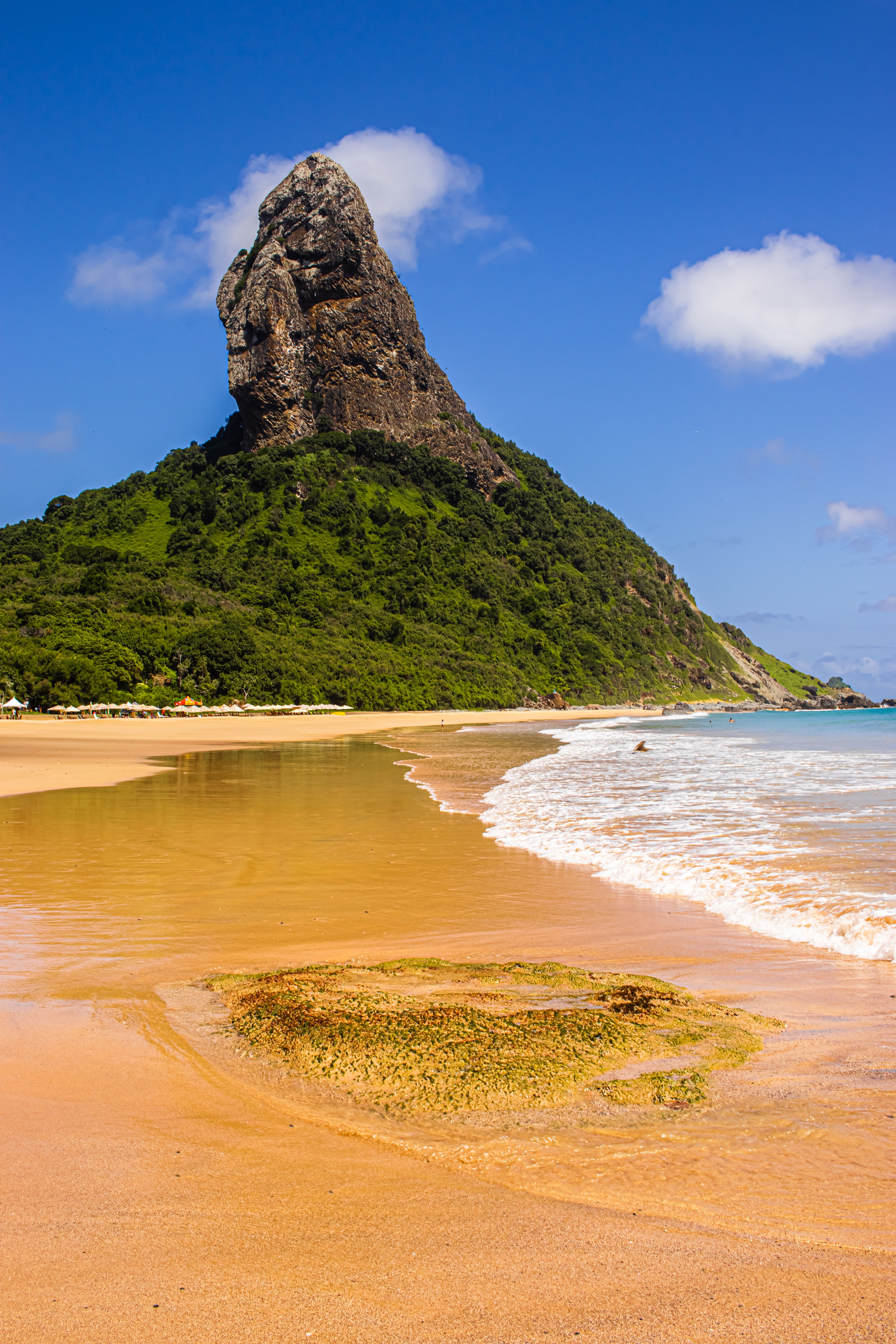 Scenic beach landscape with a towering rock formation surrounded by lush greenery under a bright blue sky.