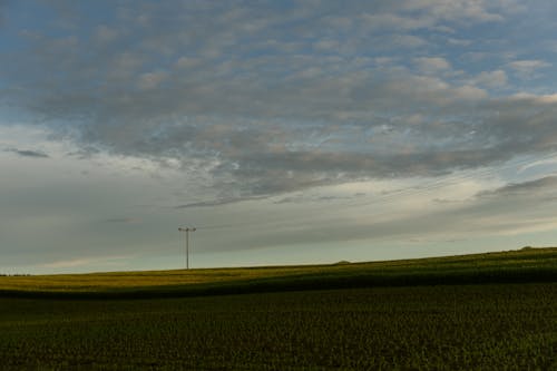 Gratis stockfoto met akkerland, boerderij, dageraad