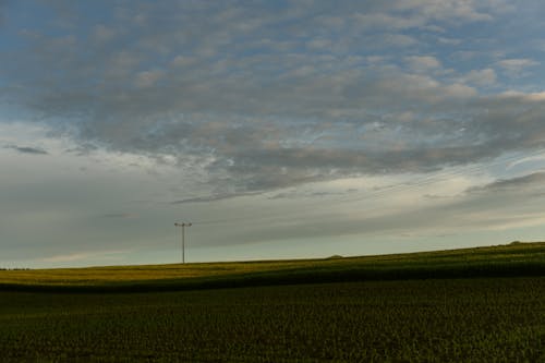 Farming Land