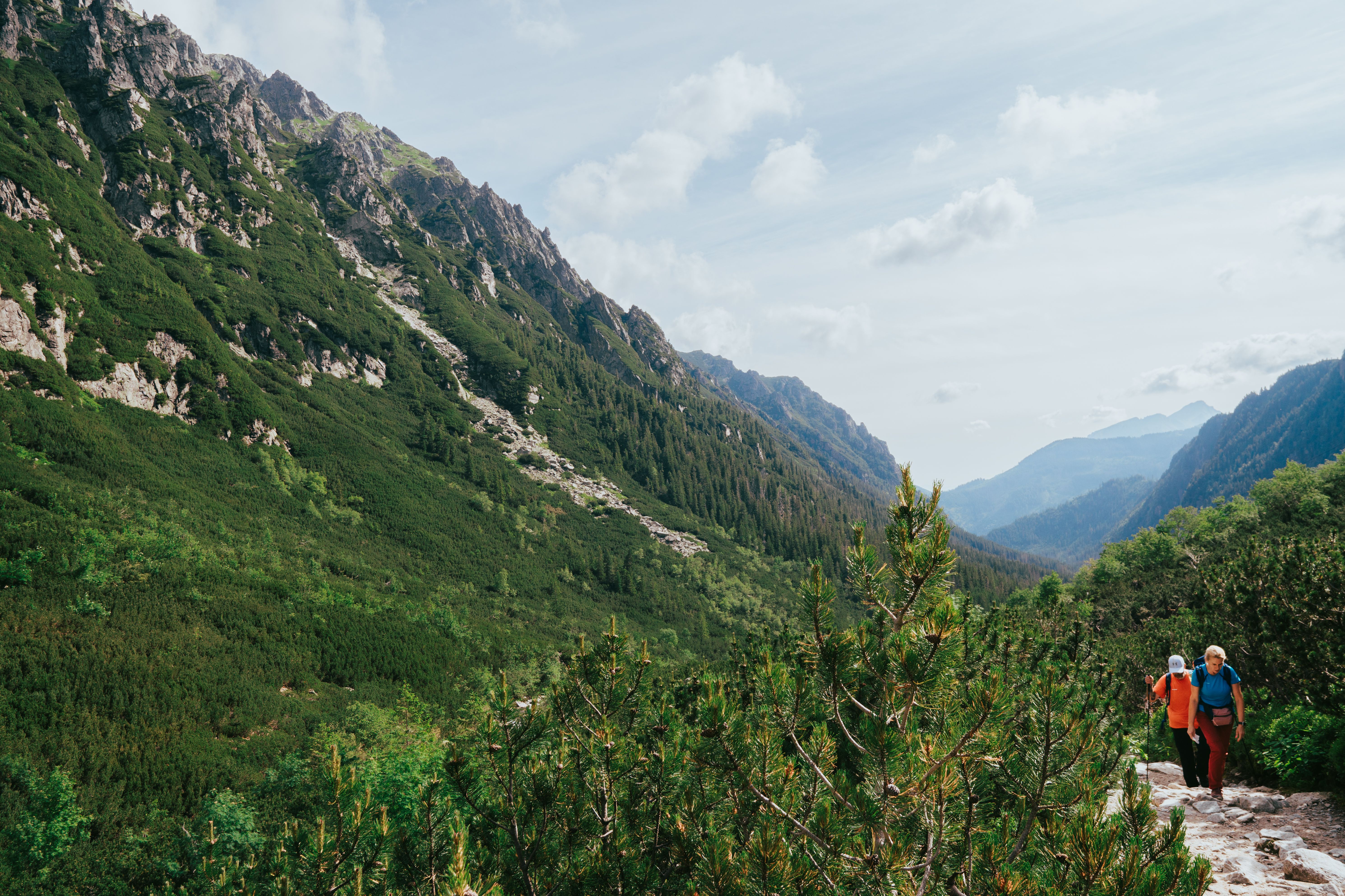 The 24 Best Pieces of Hiking Gear, According to Outdoor Editors — Photo by Artūras Kokorevas on Pexels