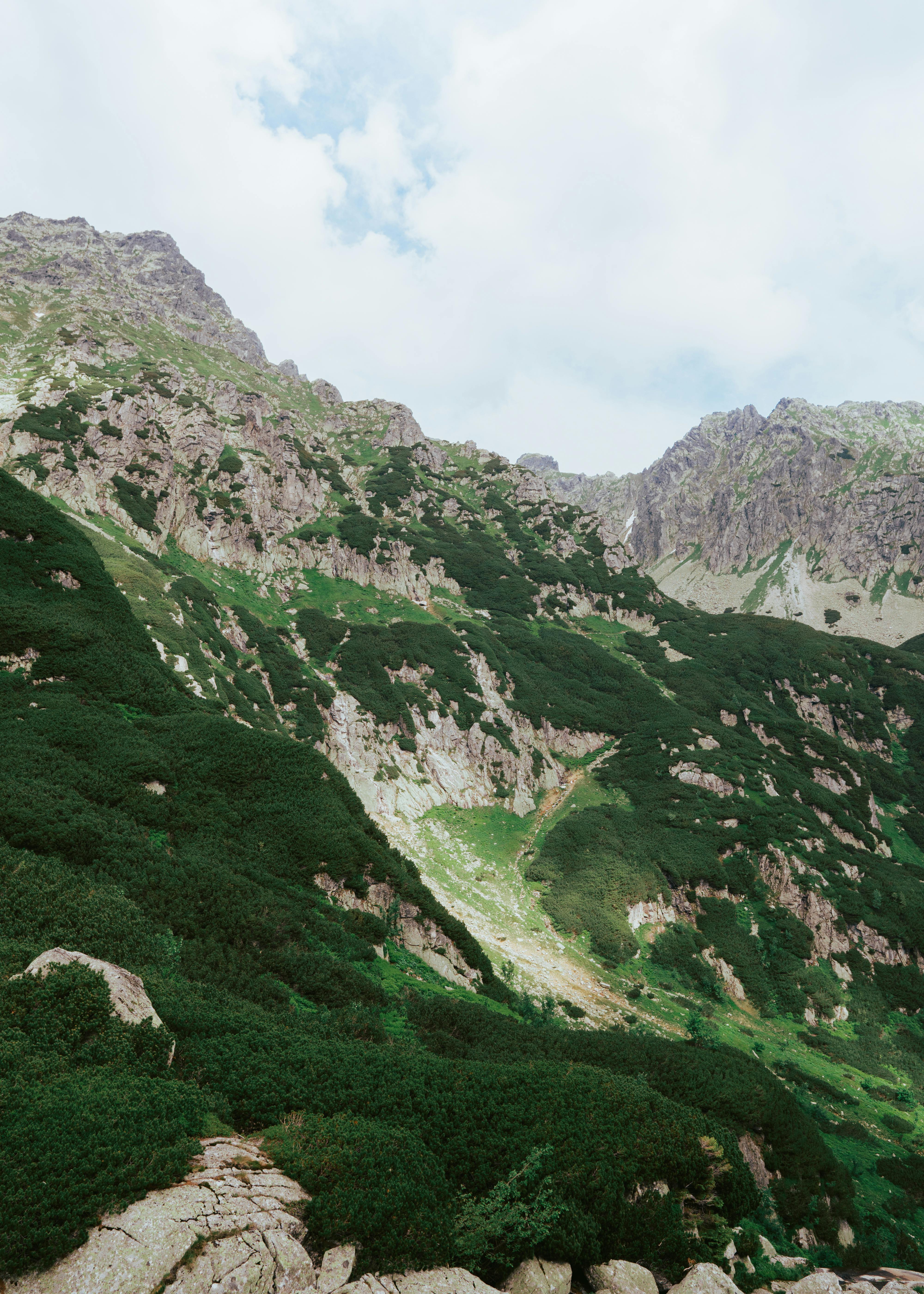 Explore the rugged beauty of the verdant mountains in the High Tatras during summer.