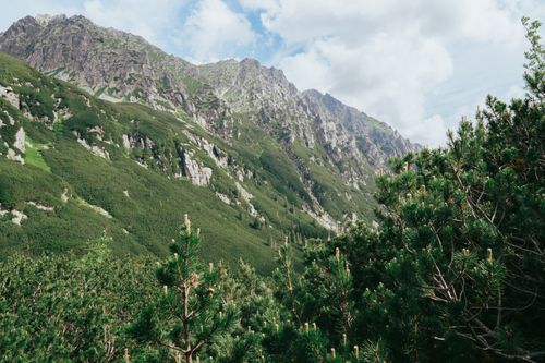 Free Stunning landscape of the Tatras Mountains with lush green pine trees in summer. Stock Photo