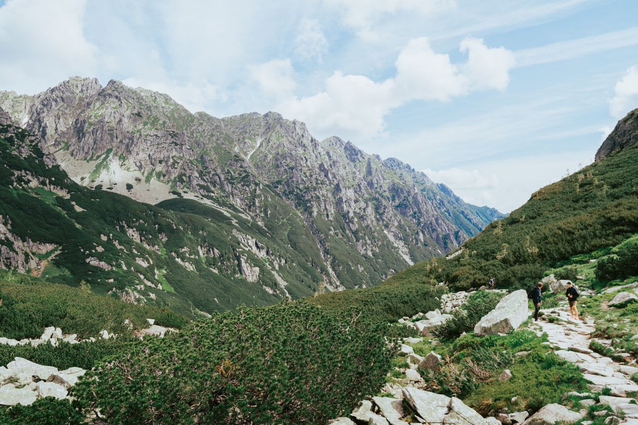 A hiking trail winding through green slopes in the Rocky Mountains in summer