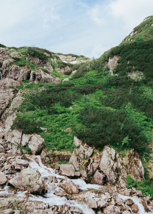 Free Beautiful mountain landscape featuring a cascading stream amid lush greenery. Stock Photo