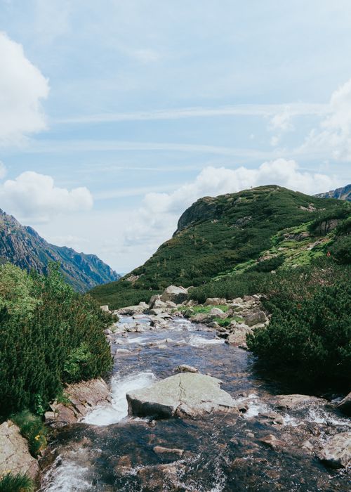 Free A picturesque mountain river flows through lush greenery under a clear summer sky. Stock Photo