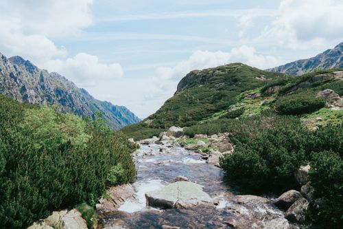 Free Discover a pristine mountain stream flowing through lush greenery under a bright blue sky. Stock Photo