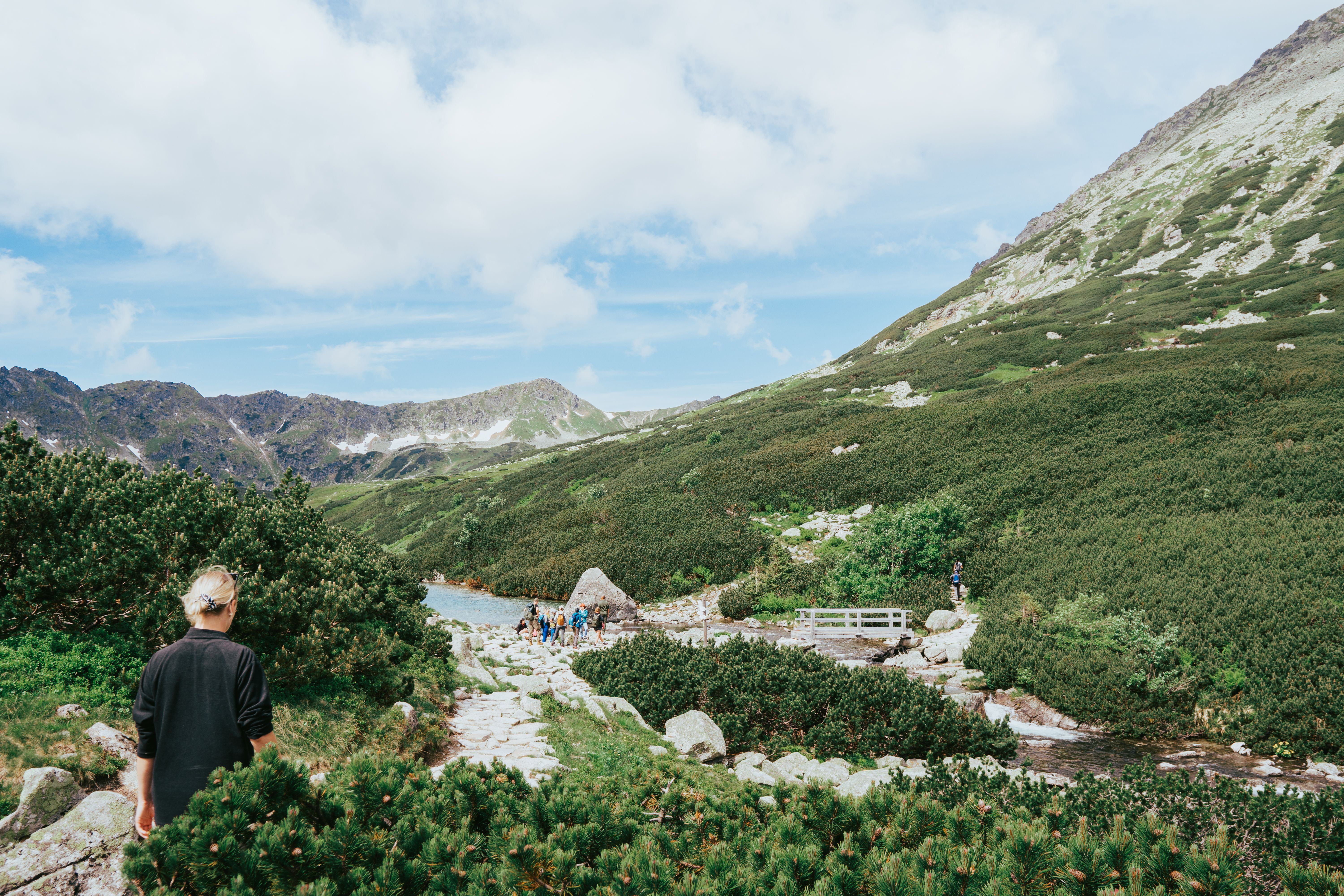 Experience the serenity of a mountain hike surrounded by lush greenery and stunning views.
